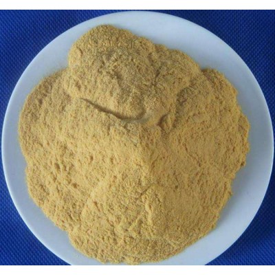 coagulant preparation PFS poly ferric sulphate in light yellow powder